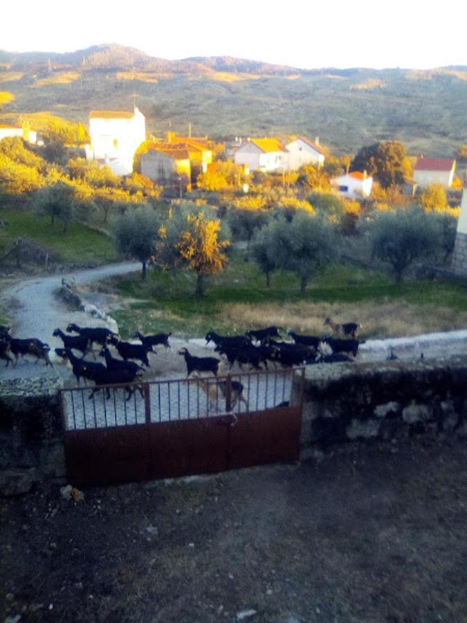Pedregulho Experience Daire Caldeirinhas Dış mekan fotoğraf